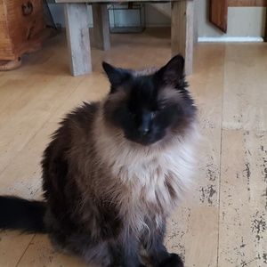 Meet your Posher, Ellen